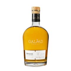 Galaad 5 Year Old 2018 Origine