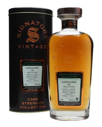 Glentauchers 1981 30年 Cask #1057 Signatory Cask Strength Collection